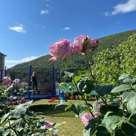 奥姆布拉公寓 Mokošica 外观 照片
